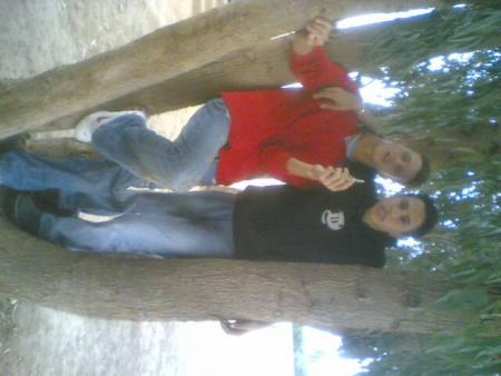 moi et nor din